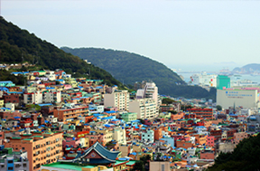 韩国公司的年审和报税时间是什么时候？
